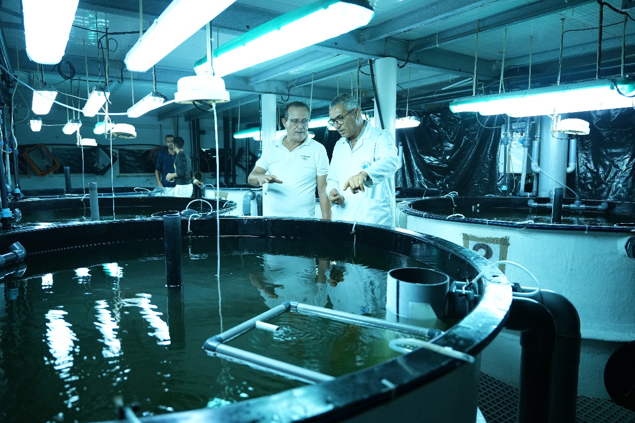 Aquaculture moderne – Aquaculture Tunisienne